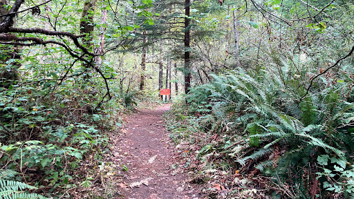 Train Station «Chelatchie Prairie», reviews and photos, 207 N Railroad Ave, Yacolt, WA 98675, USA
