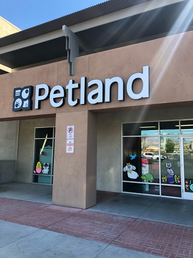 Pet Store «Petland Las Vegas», reviews and photos, 8800 W Charleston Blvd #3, Las Vegas, NV 89145, USA
