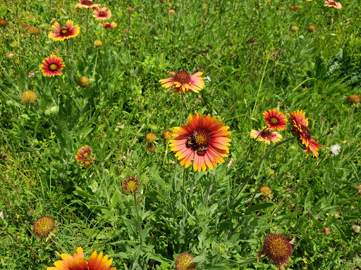 Golf Club «Links Golf Club», reviews and photos, 8706 Pavilion Dr, Hudson, FL 34667, USA