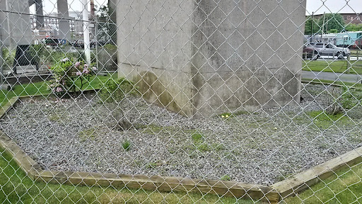 History Museum «Battleship Cove», reviews and photos, 5 Water St, Fall River, MA 02721, USA