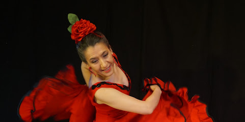 Flamenco Center - Danskurser/lokal att hyra/föreställningar