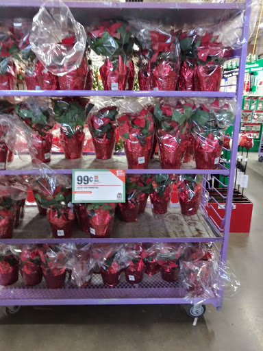 Home Improvement Store «The Home Depot», reviews and photos, 1510 Ring Rd, Elizabethtown, KY 42701, USA