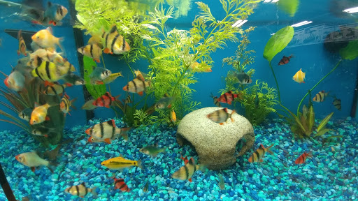 Pet Supply Store «Pet Valu», reviews and photos, 10761 Innovation Drive, Miamisburg, OH 45342, USA