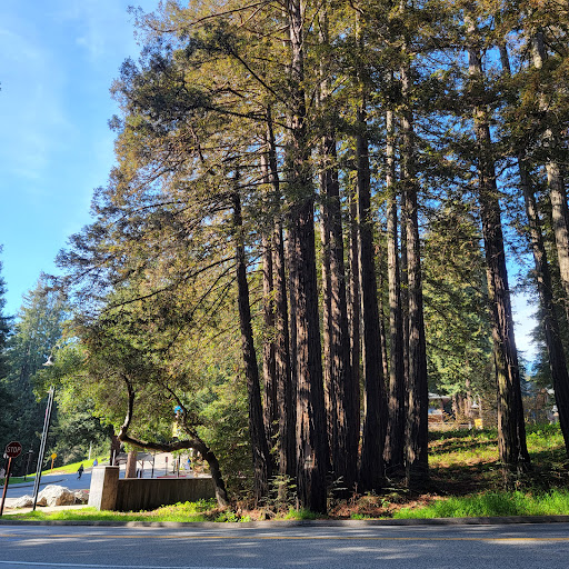 Book Store «Bay Tree Bookstore», reviews and photos, 420 Hagar Dr, Santa Cruz, CA 95064, USA