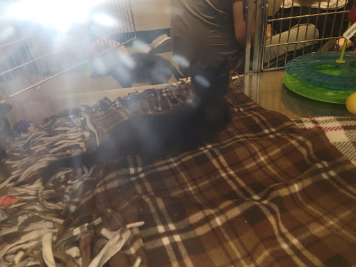 Pet Supply Store «PetSmart», reviews and photos, 16257 N Scottsdale Rd, Scottsdale, AZ 85254, USA