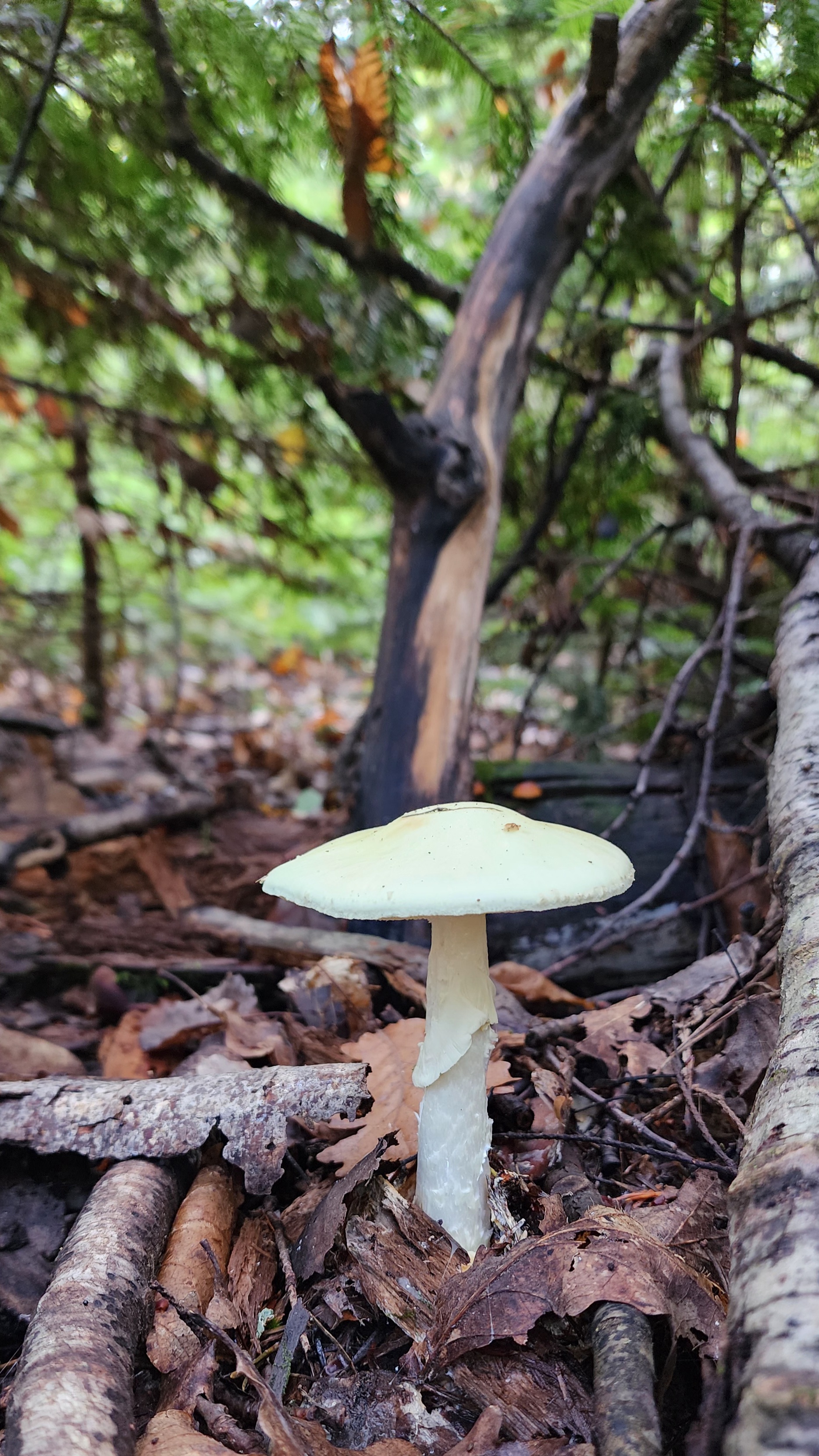 Photo n° 3 de l'avis de Angie. fait le 04/11/2022 à 06:49