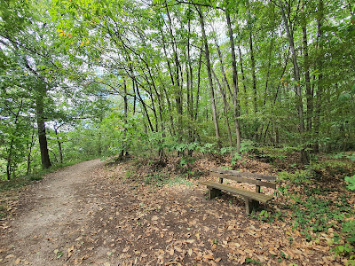 Forêt Régionale du Domaine de Bel Air à Bièvres