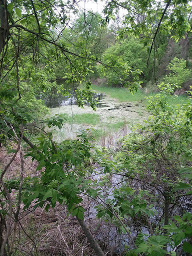 Nature Preserve «Great Flats Nature Trail», reviews and photos, W Campbell Rd, Schenectady, NY 12306, USA