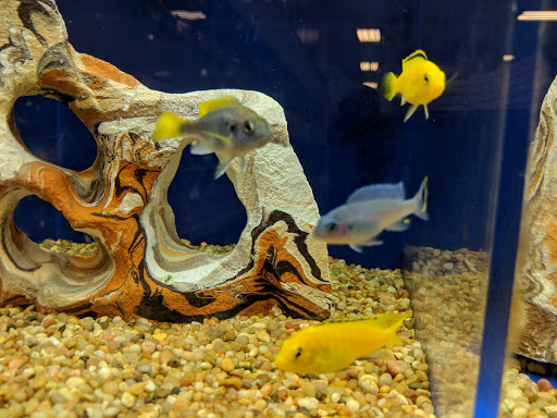 Pet Supply Store «PetSmart», reviews and photos, 47142 Michigan Ave, Canton, MI 48188, USA