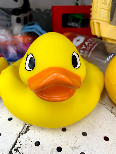 Thrift Store «Village Discount Outlet Store 12», reviews and photos, 4635 N Elston Ave, Chicago, IL 60630, USA