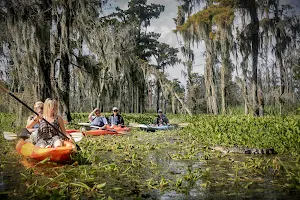 Wild Louisiana Launch image