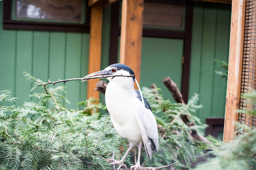 Zoo «Cosley Zoo», reviews and photos, 1356 N Gary Ave, Wheaton, IL 60187, USA