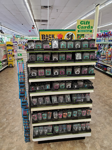 Dollar Store «Dollar Tree», reviews and photos, 880 NE 125th St, North Miami, FL 33161, USA