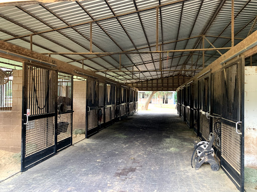 Lone Star Equestrian Center