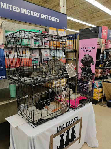 Pet Supply Store «Petco Animal Supplies», reviews and photos, 205 Palm Bay Rd NE #155, West Melbourne, FL 32904, USA
