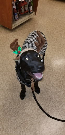 Pet Supply Store «PetSmart», reviews and photos, 10900 W Jefferson Blvd, Culver City, CA 90230, USA