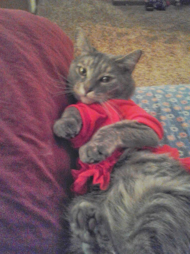 Pet Supply Store «PetSmart», reviews and photos, 17180 Mercantile Blvd, Noblesville, IN 46060, USA