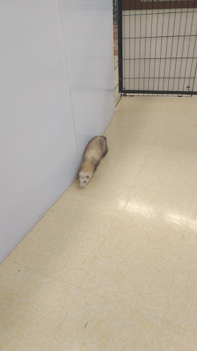 Pet Supply Store «Petco Animal Supplies», reviews and photos, 710 Franklin Ave, Franklin Square, NY 11010, USA