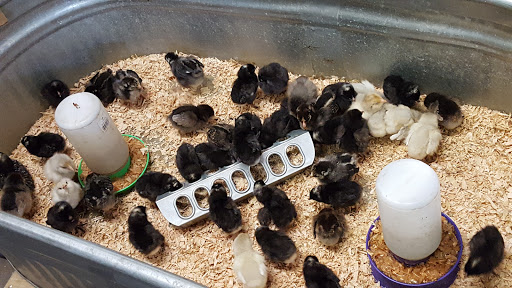 Pet Supply Store «Northern Star Mills», reviews and photos, 510 Esplanade, Chico, CA 95926, USA