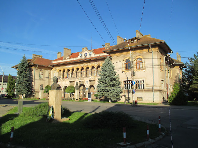 Opinii despre Primăria municipiului Hunedoara în <nil> - Serviciu de instalare electrica