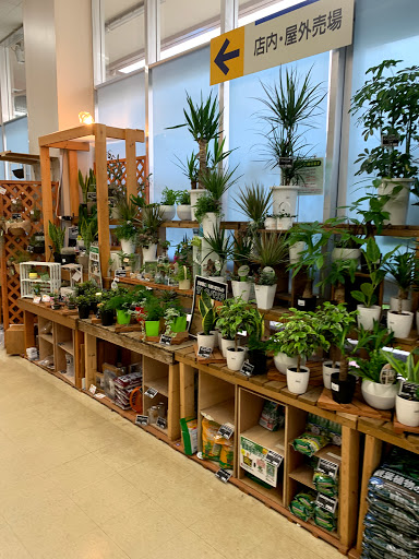 Plants stores Tokyo