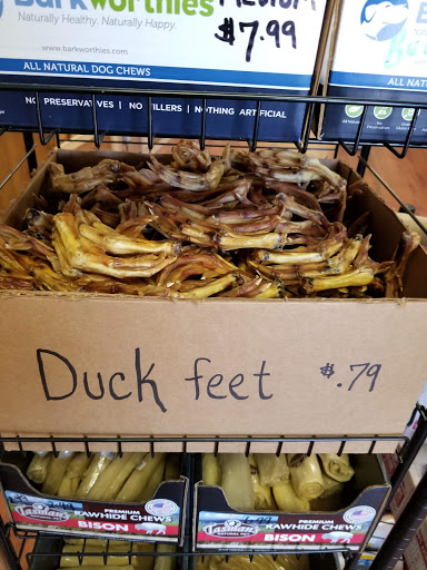 Pet Store «Dart Frogs To Dogs», reviews and photos, 6007 W Main Blvd B, Bath, PA 18014, USA