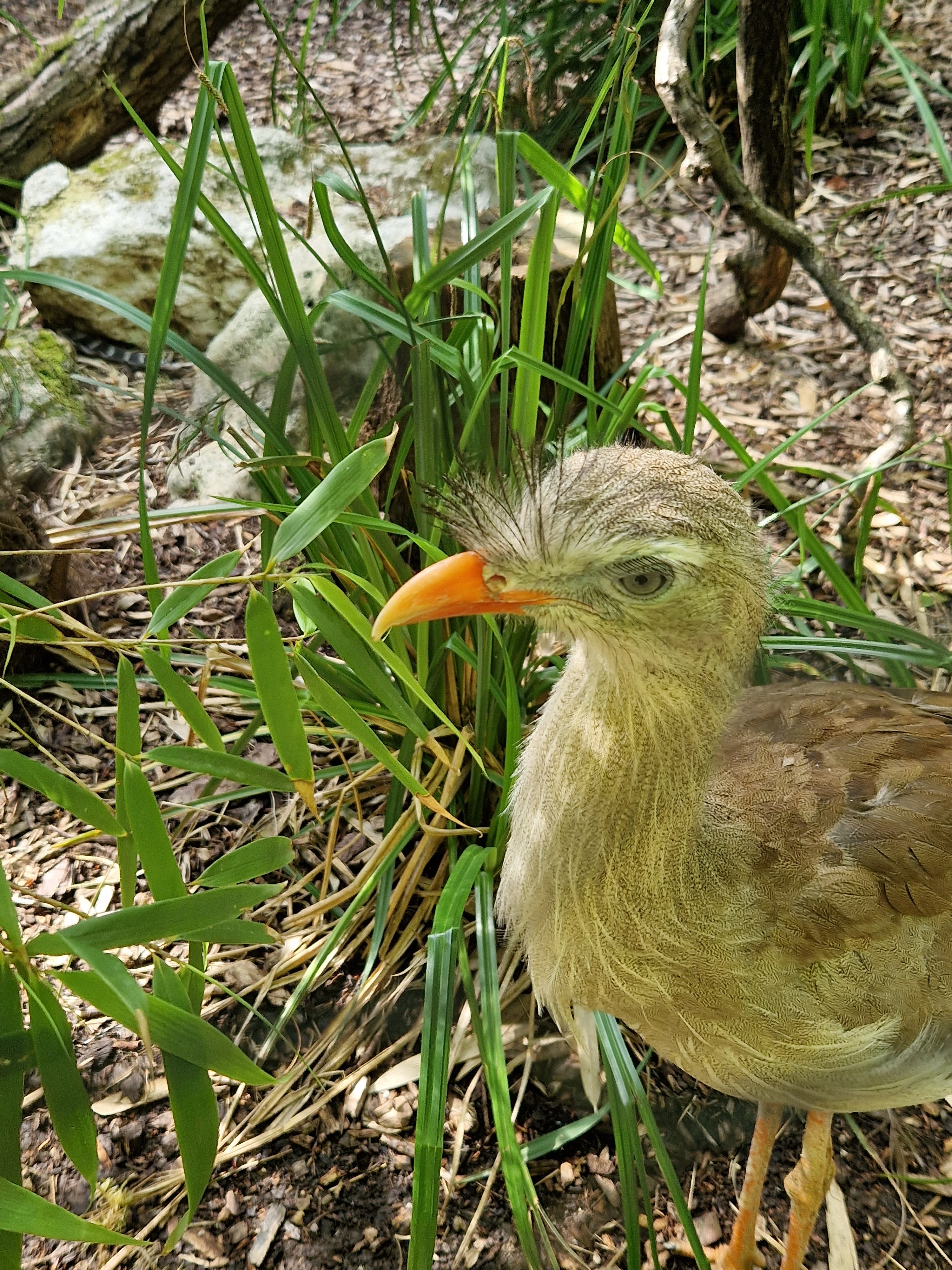 Photo n° 1 de l'avis de Delphine.l fait le 18/07/2023 à 13:34