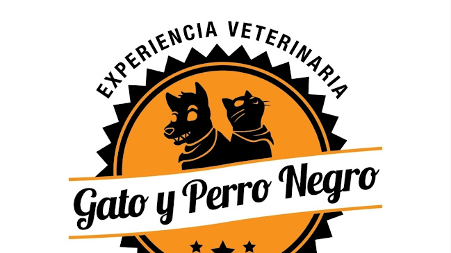 Clínica Veterinaria - Gato y Perro Negro