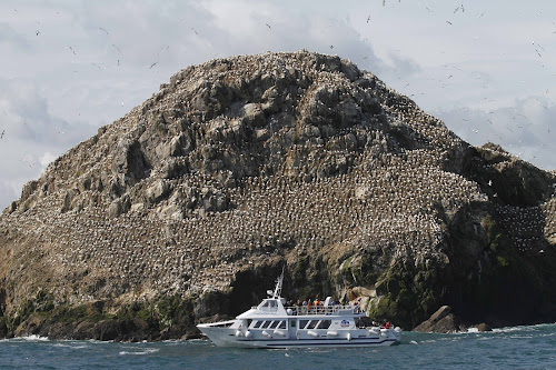 Agence d'excursions en bateau Armor Navigation Perros-Guirec