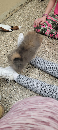 Pet Supply Store «Pet Ranch», reviews and photos, 3823 E 120th Ave, Denver, CO 80233, USA