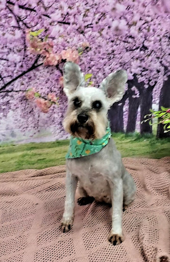 Happy Tails Grooming and Boarding