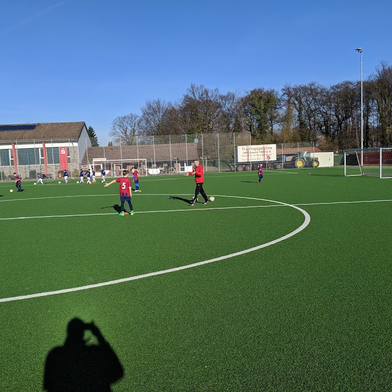 Rösler-Stadion , VSF Amern