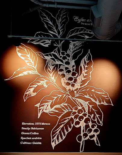 Starbucks image