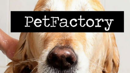 Peluqueria canina PetFactory Gijon - Servicios para mascota en Gijón