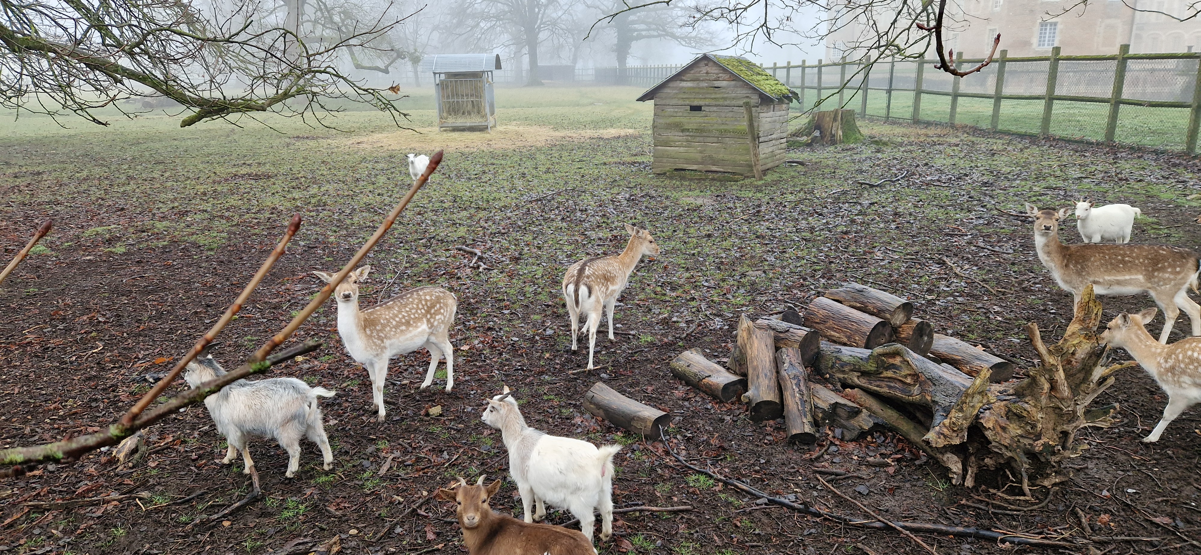 Photo n° 13 de l'avis de Jerome.I fait le 28/01/2024 à 17:55