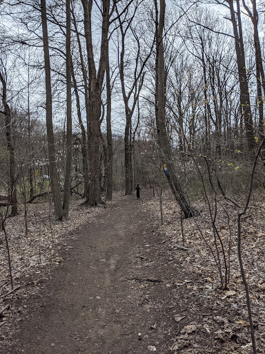 Nature Preserve «Greenbelt Nature Center», reviews and photos, 700 Rockland Ave, Staten Island, NY 10314, USA