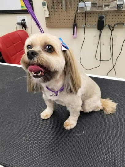 Head To Tail Pet Spa