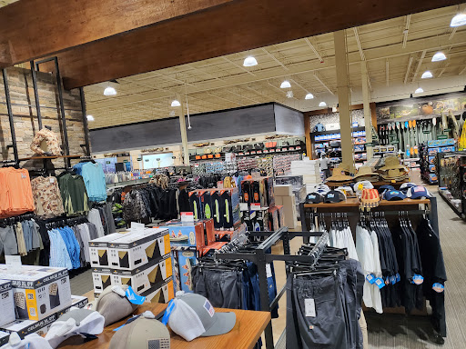 Outdoor Sports Store «Field & Stream», reviews and photos, 800 Brevard Rd #901, Asheville, NC 28806, USA
