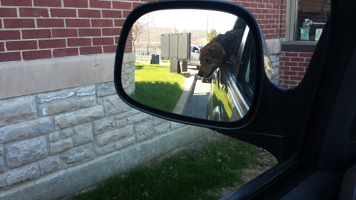 Coffee Shop «Starbucks», reviews and photos, 105 Marketplace Boulevard, Selinsgrove, PA 17870, USA