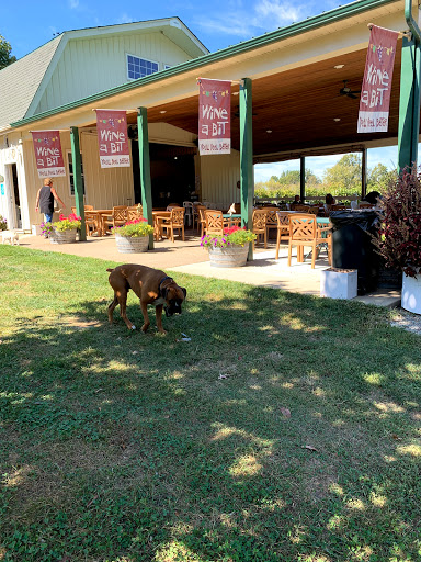 Winery «Harmony Hill Vineyards», reviews and photos, 2534 Swings Corner Point Isabel Rd, Bethel, OH 45106, USA