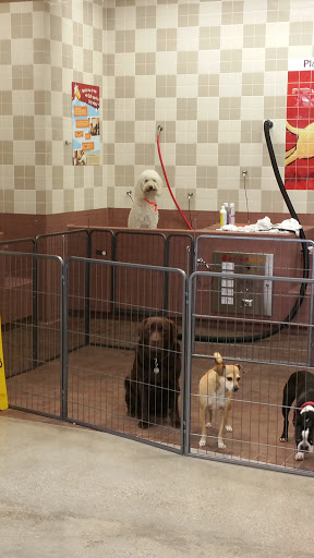 Pet Supply Store «Pet Food Express», reviews and photos, 9153 W Olympic Blvd, Beverly Hills, CA 90212, USA