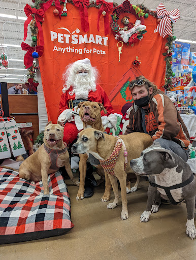 Pet Supply Store «PetSmart», reviews and photos, 160 Wadsworth Blvd, Lakewood, CO 80226, USA
