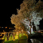 Photo n°4 de l'avis de Alan.r fait le 22/08/2022 à 20:56 sur le  Ristorante Terra e Sapori à Forio