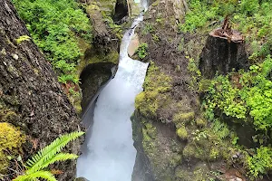 Ladder Creek Falls image