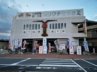 ホリグチ生さざえ