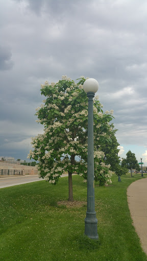 Park «City of Cuernavaca Park», reviews and photos, 3500 Rockmont Dr, Denver, CO 80202, USA