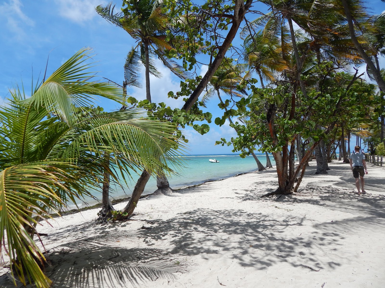 Foto von Plage de la Caravelle mit teilweise sauber Sauberkeitsgrad