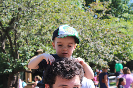 Day Care Center «Little Lambs Day Care, Inc.», reviews and photos, 837 Sumneytown Pike, Lansdale, PA 19446, USA