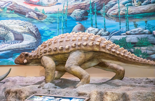 Natural History Museum «Fernbank Museum of Natural History», reviews and photos, 767 Clifton Rd, Atlanta, GA 30307, USA