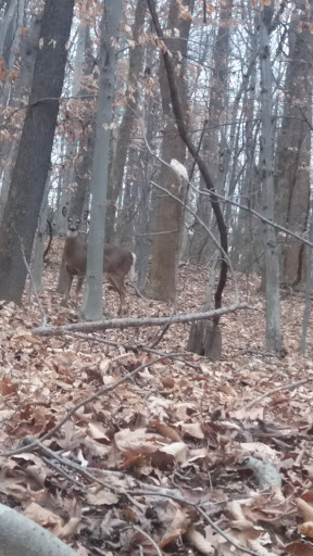 Park «Walker Mill Regional Park», reviews and photos, 8840 Walker Mill Rd, District Heights, MD 20747, USA